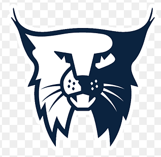Custom Bobcat 3 files included